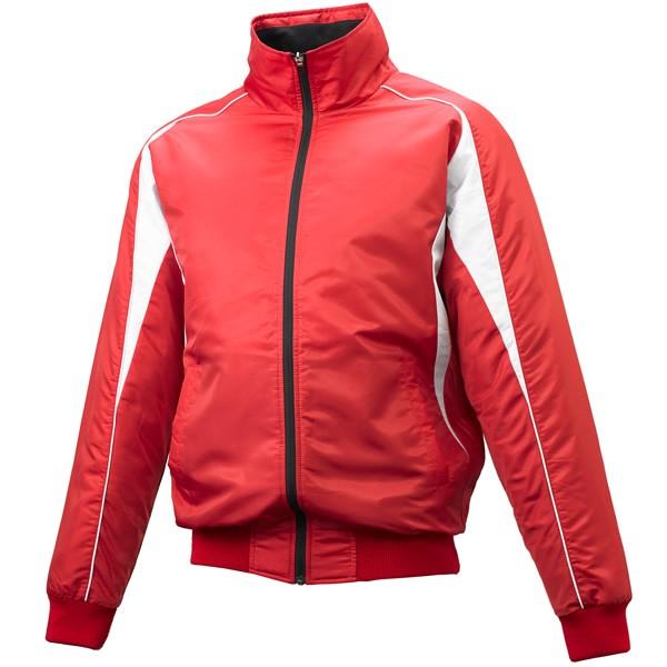 GXGXPCiSSKj@BWG1008@2010@싅@OEhR[g@tgtZIPiȁj@19FW