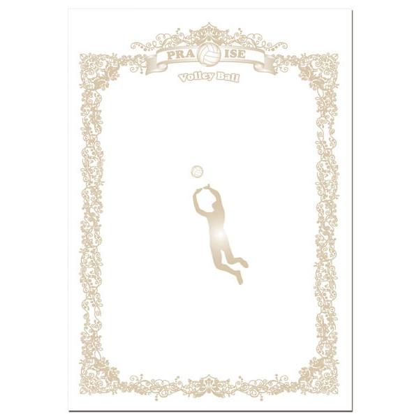 UnixijbNXj@FD1385@N[V@X|[cڕʏ܏p o[{[ 16SS