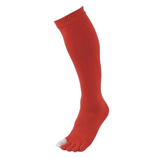 ZETTi[bgj@BK1360C@6400@싅@CUiX 5{wJ[\bNX 16SS