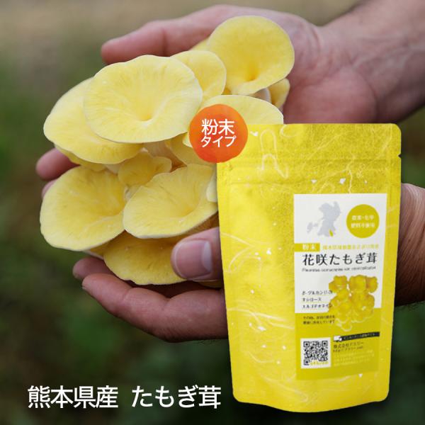 asagiri-nouen_tamogidakepauda asagiri-nouen_tamogidakepauda
