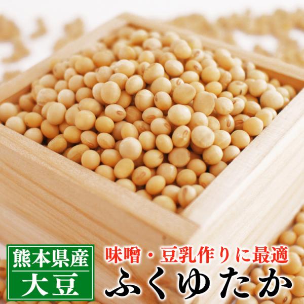 大豆 1kg 送料無料 熊本県産 ふくゆたか 大粒 乾燥大豆 令和5年産