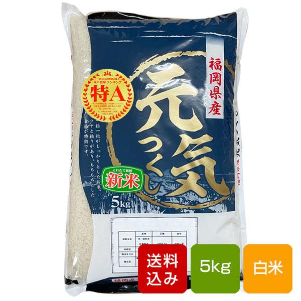 元気つくし 5kg 白米 福岡県のお米  令和7年産
