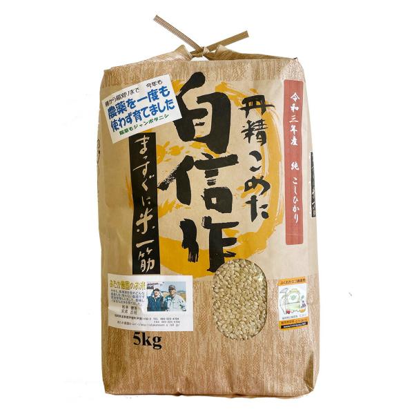新米 無農薬玄米 コシヒカリ 5kg コシヒカリ福岡県産 令和4年産 ギフト 