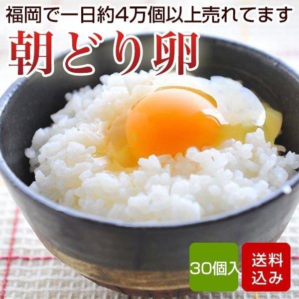 福岡県鞍手郡にある野上養鶏場の卵です。人気の大玉サイズ！　割った瞬間、黄身がぷるんと弾けるような弾力感。卵かけごはんにおすすめです！飼料は鶏の栄養や卵の味の片寄りをなくし、安心して食べられるように独自配合した飼料を使っています。生でお召し上...