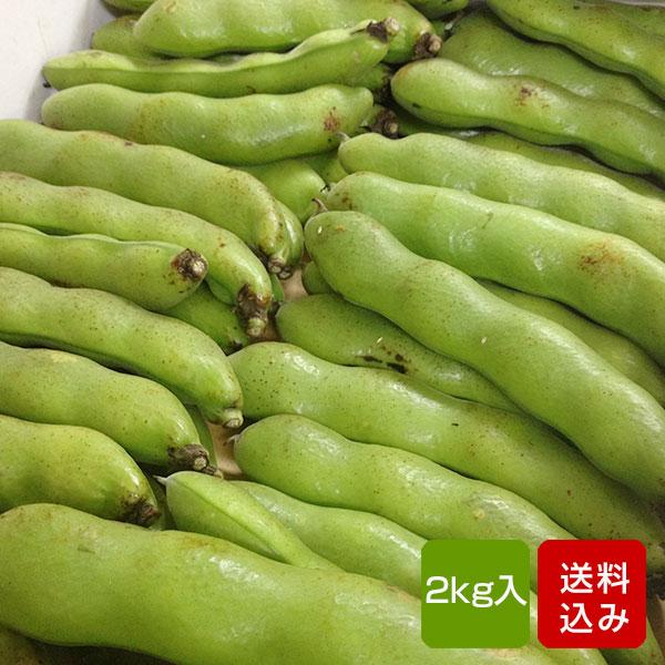 そらまめ 2kg 新物 ソラマメ そら豆 空豆 サイズ無選別 鹿児島県 そらまめ 2kg 新物 ソラマメ そら豆 空豆 サイズ無選別 鹿児島県
