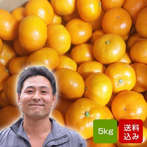 みかんを買って、みかんが水っぽい、酸っぱすぎるなどの経験はありませんか？　尾崎みかんは、コクがあって糖度も高く、薄皮もトロトロとした食感で旨みたっぷり！　日本中の極上みかんと食べ比べても、トップレベルの味わいです。尾崎みかんの生産者が少ない...