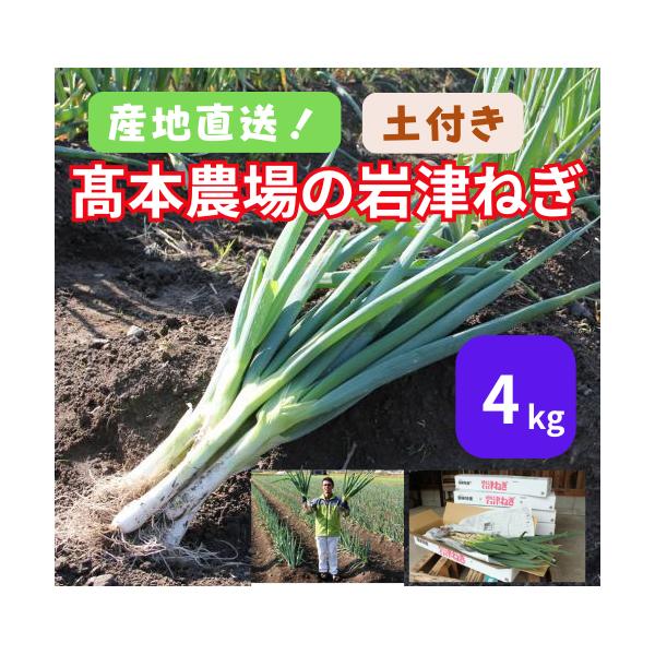 [Release date: December 3, 2025]※12月23日までのご購入なら、年内配送可能！(年内最終発送日：12月26日)※2026年は1月8日発送開始予定朝来市の特産品「岩津ねぎ」4kgを産地直送でお届けします。 岩津...