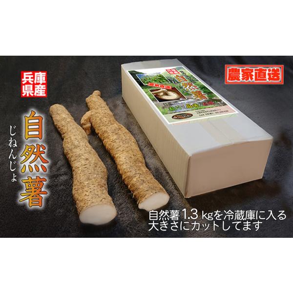 [Release date: November 13, 2020]澄んだ水と空気の朝来市糸井渓谷で育つ自然薯は昼夜の寒暖差により特に粘りが強くなり、風味豊かです。※11月下旬発送開始予定。【内容量】1.3kg　(冷蔵庫に入る大きさにカットし...