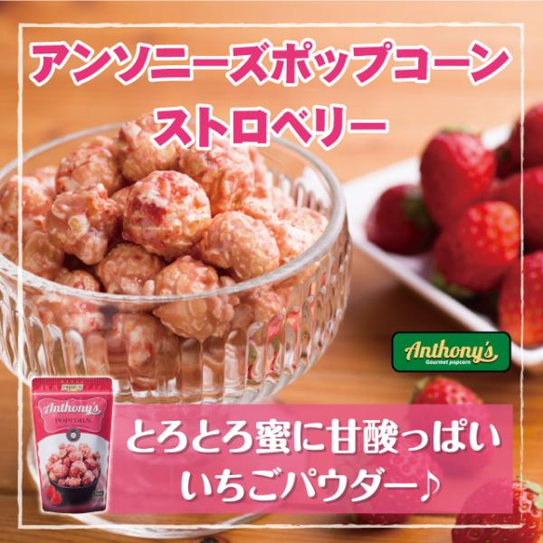 ノンオイルで熱風で仕上げる「エアーポップ製法」のマッシュルーム型ポップコーンを使用しています。 銅釜でトロトロに煮込んだ蜜をコーティングし、仕上げに甘酸っぱいいちごパウダーをまぶしました。いちごの爽やかな味わいをお楽しみいただけます。【商品...