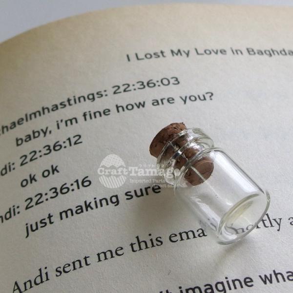 ~j{g r 18*12 Bottle 10 KXr Ɏqr t^ ӂ W RN r606-rs