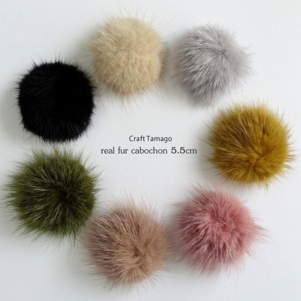 ylz220~120~@~Nt@[ ntJ{Vp[c 5.5cm \tp[c  1 ANZT[p[c  ޗ nhCh  |Cgp