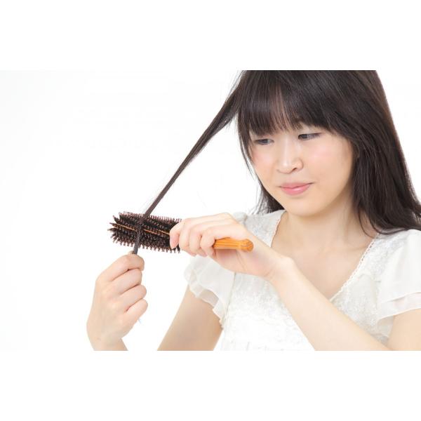 ロールブラシ 豚毛 ブローブラシ カールブラシ 巻き髪 ヘアブラシ Buyee Buyee Japanese Proxy Service Buy From Japan Bot Online