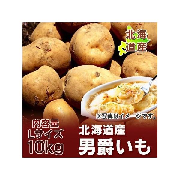  Ⴊ j݂  j݂ 10kg kC WKC 񂵂Ⴍ LTCY kCY  j݈