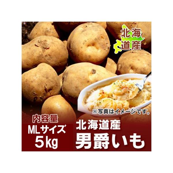 名称：北海道 じゃがいも 男爵いも内容量：男爵いも 5kg MLサイズ保存方法：じゃがいも は、ダンボール等に入れ新聞紙などで光が入らないようにして涼しい場所で保管して下さい。(明るい場所で保管しますと緑色に変色し発芽しやすくなりますので、...