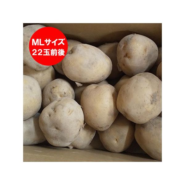 名称：北海道 じゃがいも 男爵いも内容量：じゃがいも 2kg規格：男爵芋 MLサイズ産地：北海道産 だんしゃくいも保存方法：じゃがいも は、ダンボール等に入れ新聞紙などで光が入らないようにして涼しい場所で保管して下さい。(明るい場所で保管し...