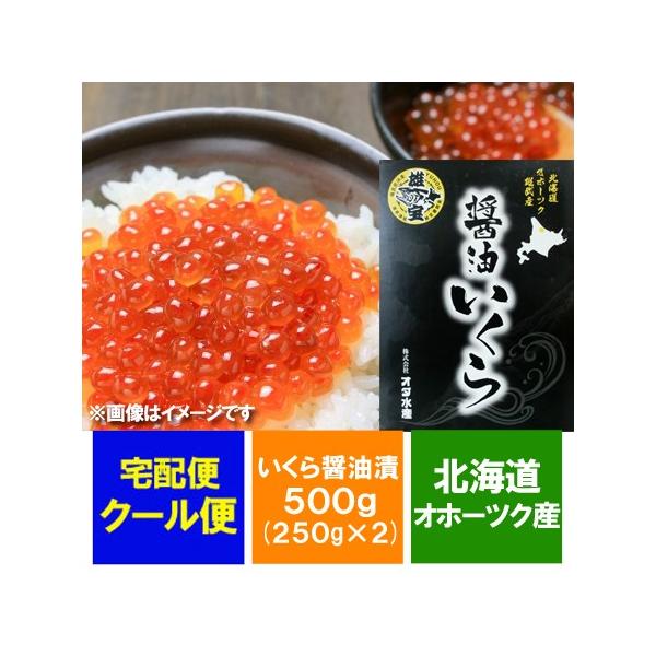 いくら 500g いくら 醤油漬け 500g 250g 2 価格 6760円 北海道 いくら醤油漬け 500g Buyee Buyee Japanese Proxy Service Buy From Japan Bot Online