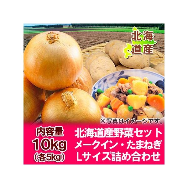  ؃Zbg [NC ʂ˂  kC [NC ܂˂ ؋lߍ킹 10kg ( e5kg ) LTCY kCY  Zbg Ⴊ ʔK