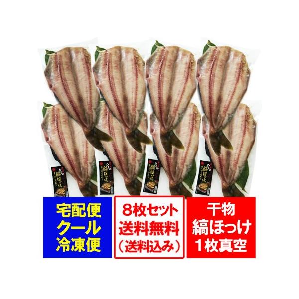  Jق  J ȃzbP  Ȃق J ق 1^ 8Zbg  Mtg Zbg ܂ق