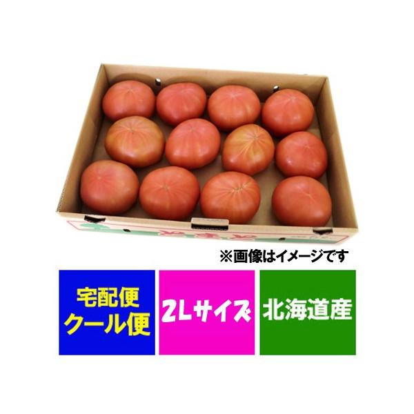  kC g}g  l(т)Y Ƃ܂ i Y g}g  4kg(4L)  2LTCY Ƃ܂  g}g H  g}g t[c