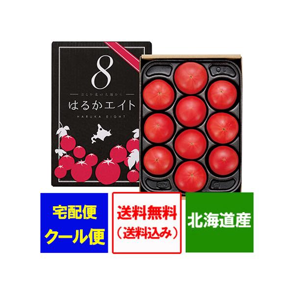 t[cg}g  t[c g}g ͂邩GCg ϔ 10`15ʑO kCY Ƃ܂ Mtg t[c g}g 