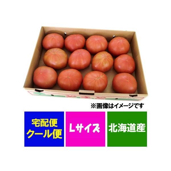  kC g}g  l(т) Y Ƃ܂ i Y g}g 4kg(4L) LTCY kCY Ƃ܂  g}g H  g}g t[c