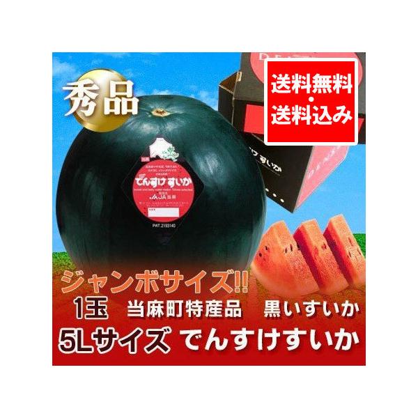 随時発送中 でんすけスイカ 送料無料 でんすけすいか 秀品 北海道 すいか 当麻産 でんすけ すいか 秀品 5Lサイズ 特産品 でんすけすいか 秀 果物 フルーツ