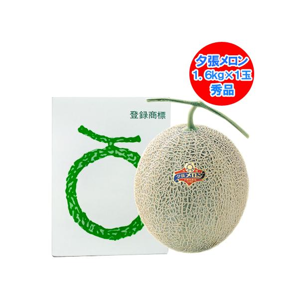 夕張メロン 秀 送料無料 夕張メロン 秀品 1玉 1.6kg 夕張農協共撰 メロン 化粧箱入 5000 円 ポッキリ ゆうばりめろん お中元 果物 フルーツ メロン くだもの