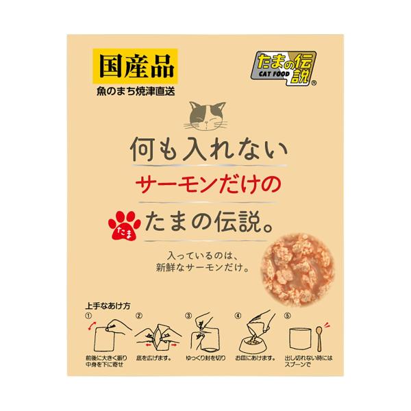 キャットフード 猫用おやつ キャットスナック 何も入れないサーモンだけのたまの伝説 内容量 35g ウェットフード 猫缶 パウチ