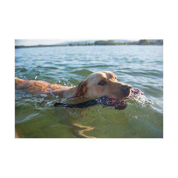 dyr[o[eC LVс ybgpi ybg