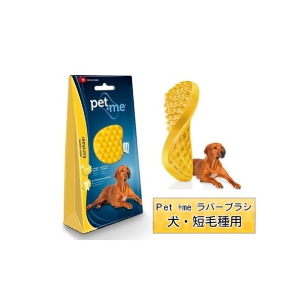 ���o�[�u���V �n�[�h �Z�їp