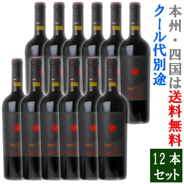 ファンティーニ・サンジョベーゼ・テッレ・ディ・キエティ 12本セット (送料無料)