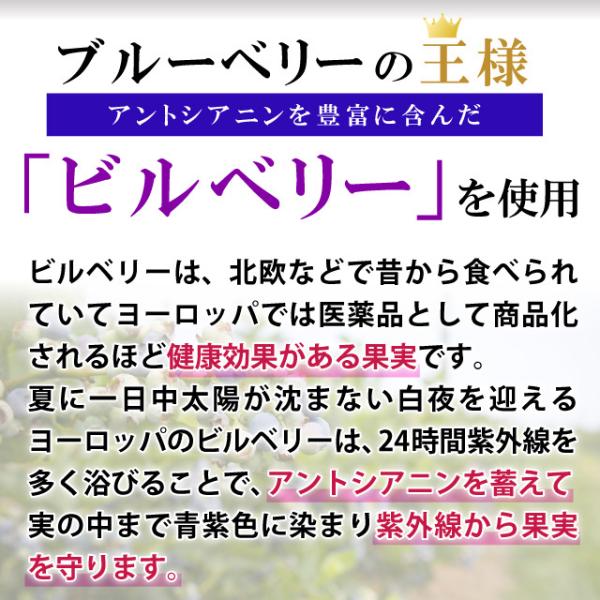 ビルベリー,ブルーベリー,サプリメント,医薬品,医療,サプリ,北欧,ビルベリーサプリ