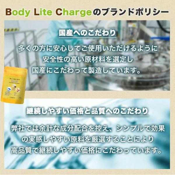 国産,国内生産,日本産,メイドインジャパン,MIJ,GMP工場,GMP,国内製造,安心安全