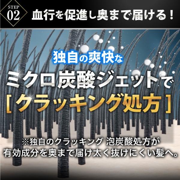 血行促進、血行、促進、血流、頭皮、ケア、ミクロ炭酸、ジェット、炭酸ジェット、ジェット噴射、クラッキング処方、泡、炭酸、爽快感、頭皮の血流、毛穴、毛根、毛髪