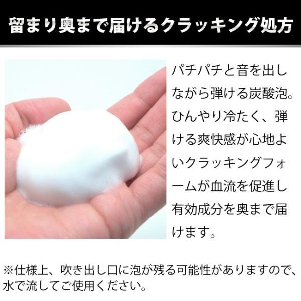 クラッキング処方、ひんやり、冷たい、クール、爽快感、爽快、ジェット、さっぱり、脂症、皮脂、血流促進、頭皮、有効成分、浸透