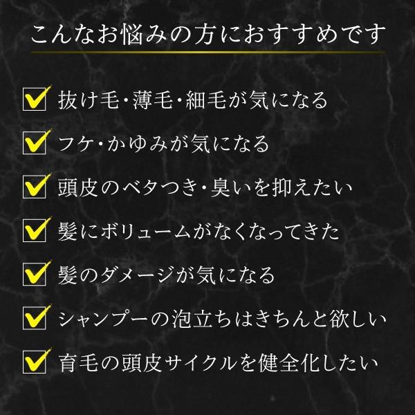 抜け毛 薄毛 フケ かゆみ予防 ボリューム 育毛サイクル改善 育毛 シャンプー Black Botanical Shampoo 400ml 普通肌 オイリー肌用 薄毛 抜け毛 ふけ かゆみ ハリ コシ メンズ ノンシリコン スカルプd 代購幫