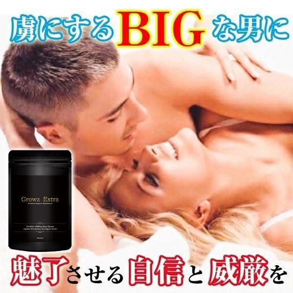 虜にするビッグば男 魅了させる自信と威厳 男性力 ED 活力 精力 サプリ サプリメント