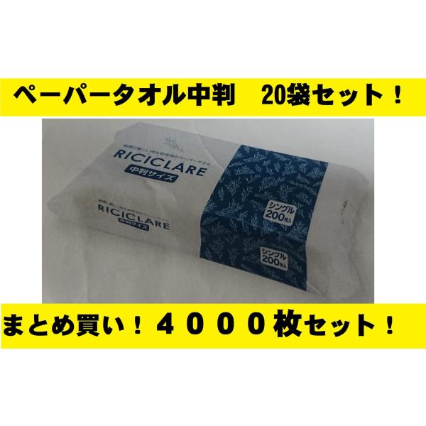 y[p[^I  VO 200 20܃Zbg y[p^I 225w220 M  F  `N[ @ ӂ n  \h |Cg