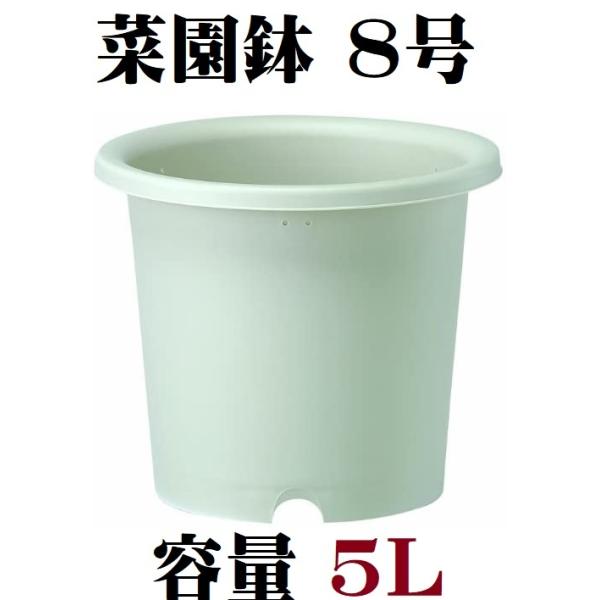 大和プラスチック 菜園鉢 8号 長鉢 ミカゲ Mサイズ 日本製 支柱 大和プラスチック 菜園鉢 8号 長鉢 ミカゲ Mサイズ 日本製 支柱