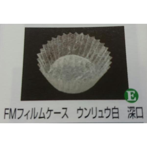 tBP[X 6 [ 500Zbg _ FR 6F Jbv ĝėe ٓ 킢 ĝ zCg n Vv  |Cg