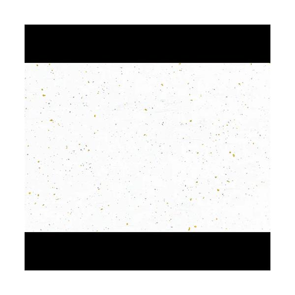 ＜和の美しさを演出する上質紙マット＞上品な雲竜模様に金銀の風合いを添えた和風テーブルマットです。落ち着いた光沢と繊細な風合いが、和食・会席料理・懐石・宴席などに最適。食卓やおもてなしシーンを上品に演出します。●サイズ：約38×26cm（長形...