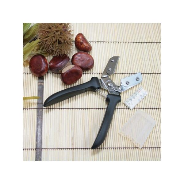 y10%OFFN[| `10/2()23:59zI̔ނ pnT~ IV