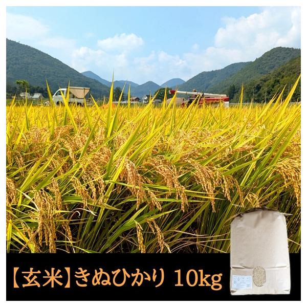 [Release date: January 7, 2026]【１月７日以降発送】令和7年産　京都府京丹波町産キヌヒカリ【玄米】10kgこしひかりと比べてさっぱりとした味わいです。冷めても美味しいので、お弁当やお寿司におすすめです。●種まき...