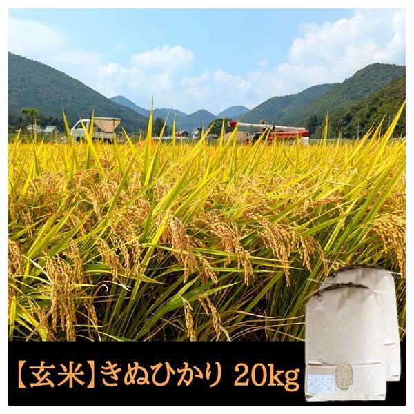 [Release date: January 7, 2026]【１月７日以降発送】令和7年産　京都府京丹波町産キヌヒカリ【玄米】20kgこしひかりと比べてさっぱりとした味わいです。冷めても美味しいので、お弁当やお寿司におすすめです。●種まき...