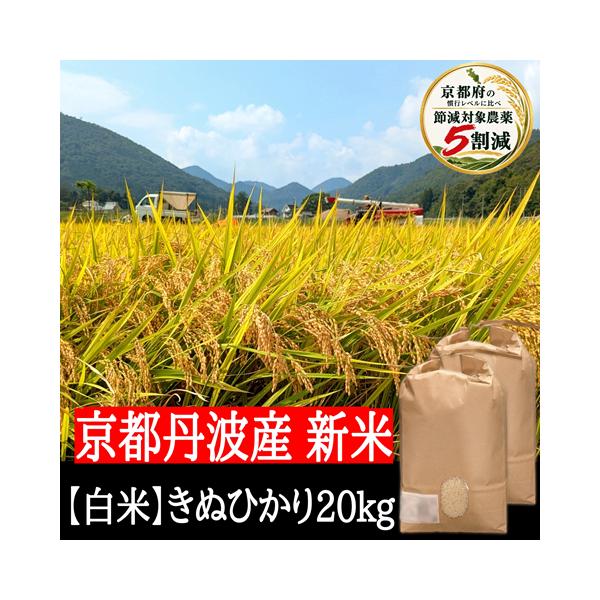 新米【 白米 】きぬひかり 20kg 令和８年産 節減対象農薬５割減 京都府産