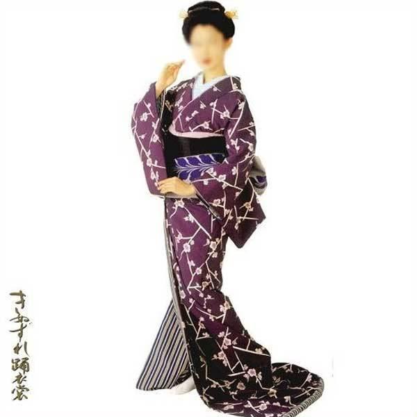 裾引き 裾一重 （露22110） すそひき 裾引 舞台 衣装 着物 きもの 日舞