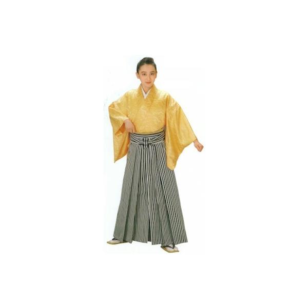 舞踊袴　行燈袴　黒縞柄　踊り用袴　日本舞踊衣装　舞台衣装着物　化繊生地 asakusa0481_b06001