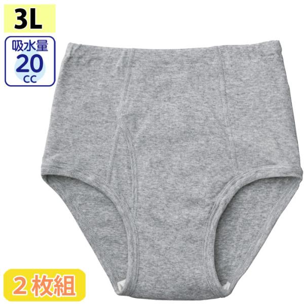 介護 下着 男性用 パンツ 安心快適 ブリーフ 2枚組 20cc 3L （cf800327-lll） 大きい 吸水パンツ 失禁 ケアパンツ 紳士 介護用肌着 1点メール便可 ak24 26s