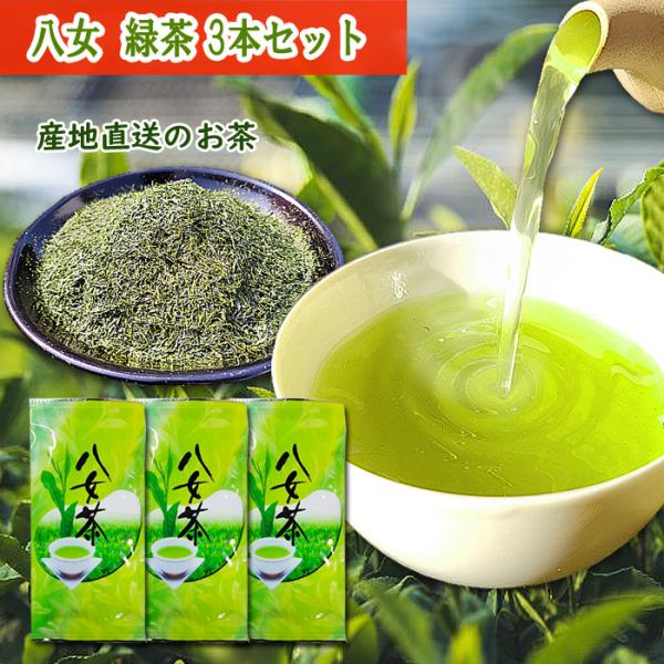 八女茶 抹茶入り八女茶三角TB40P | お茶とコーヒーの国太楼