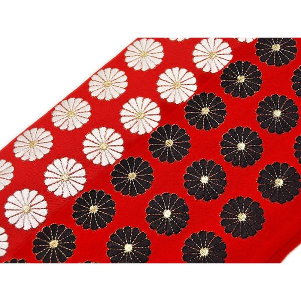 @@hJ ܁@-e/Ԓn-@[ 0802-163 ] @l ꒅ  fB[X イ  LN   VN U S[h